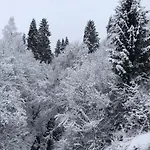 у миколи