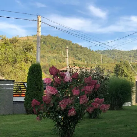 у миколи Apartment Huklyvyy