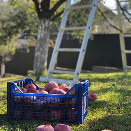 у миколи Apartment *