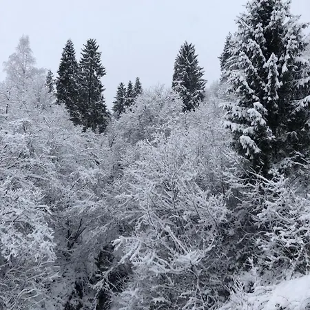 у миколи